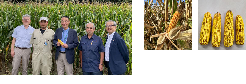 「国産子実とうもろこし」プロジェクト