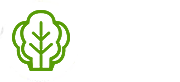 野菜たっぷり