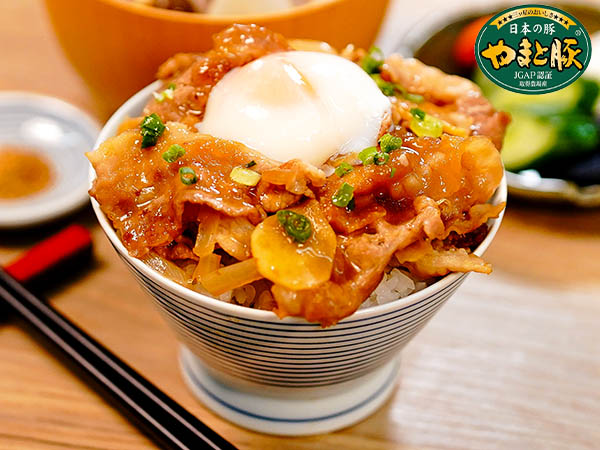 しょうがたっぷりやまと豚 豚丼