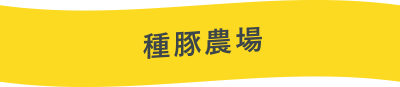 種豚農場