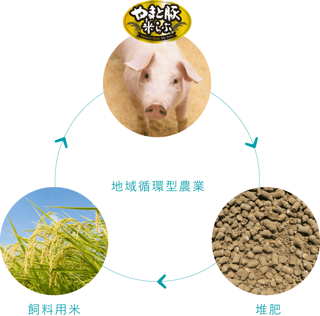 地域循環型農業